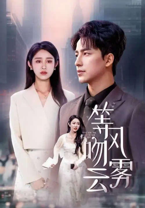 国产剧 漫长的季节 续作